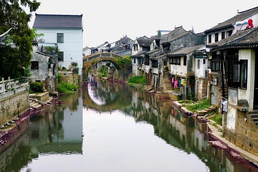吃水果的蛇